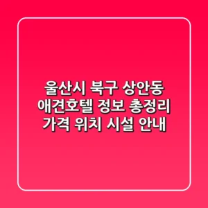울산시 북구 상안동 애견호텔 정보 총정리 - 가격, 위치, 시설 안내