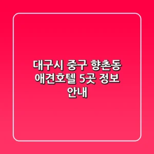 대구시 중구 향촌동 애견호텔 5곳 정보 안내