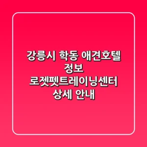 강릉시 학동 애견호텔 정보: 로젯펫트레이닝센터 상세 안내