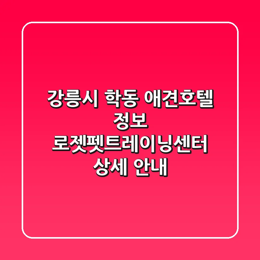 강릉시 학동 애견호텔 정보: 로젯펫트레이닝센터 상세 안내
