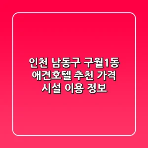 인천 남동구 구월1동 애견호텔 추천 - 가격, 시설, 이용 정보