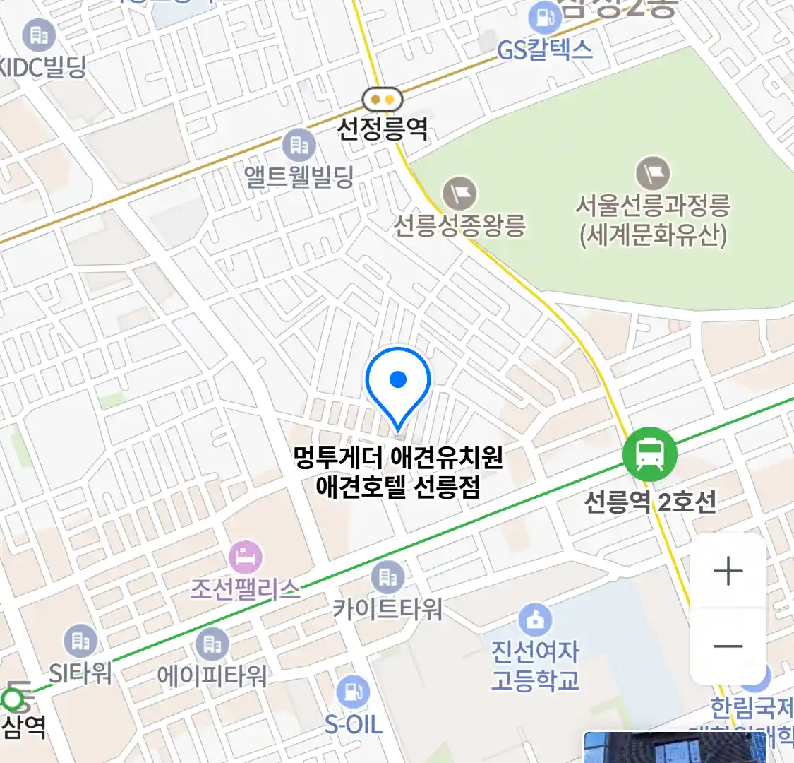 멍투게더 애견유치원 애견호텔 선릉점 위치