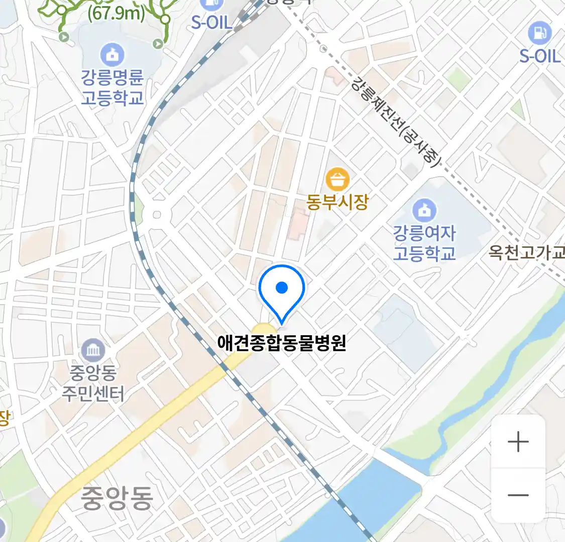 애견종합동물병원 위치