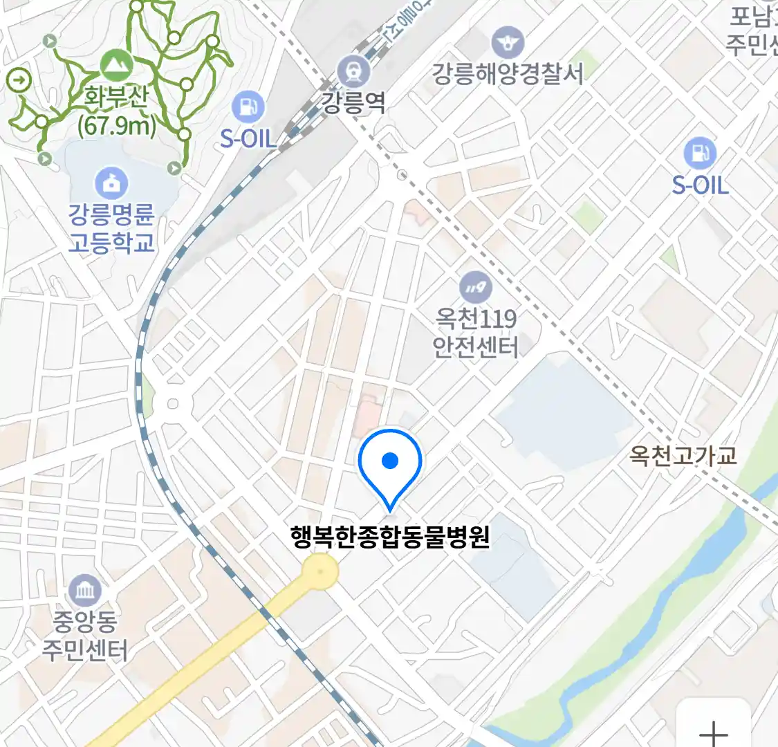 행복한종합동물병원 위치