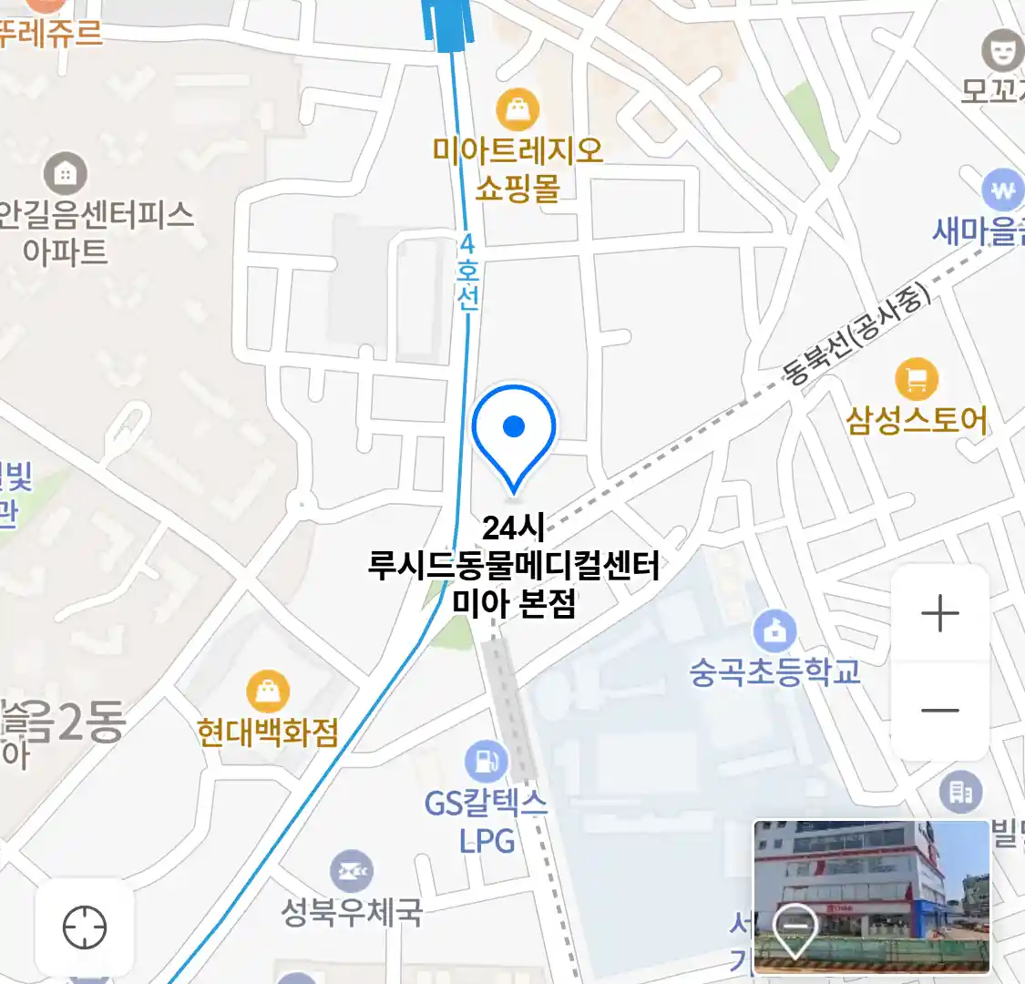 24시 루시드동물메디컬센터 미아 본점 위치