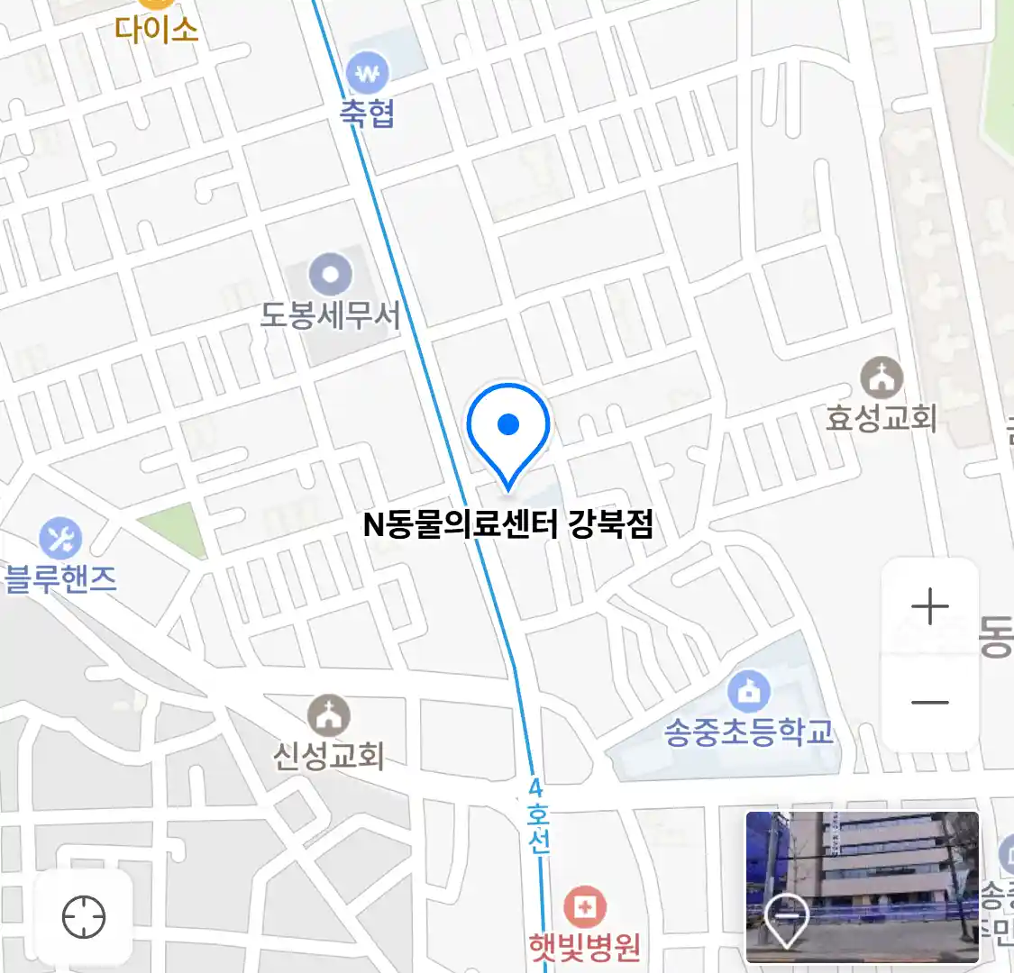 N동물의료센터 강북점 위치