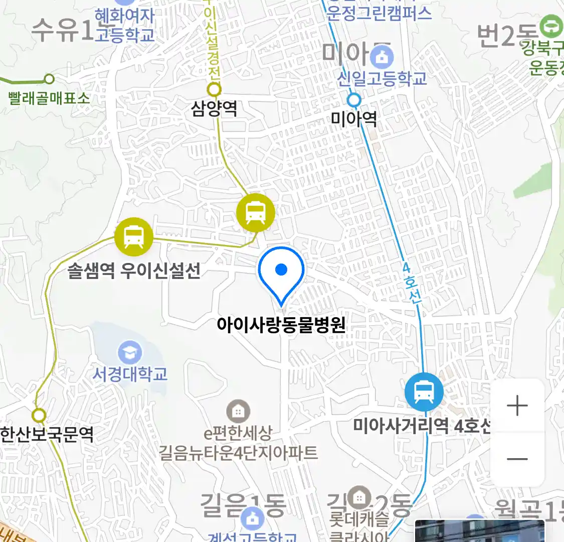 아이사랑동물병원 위치