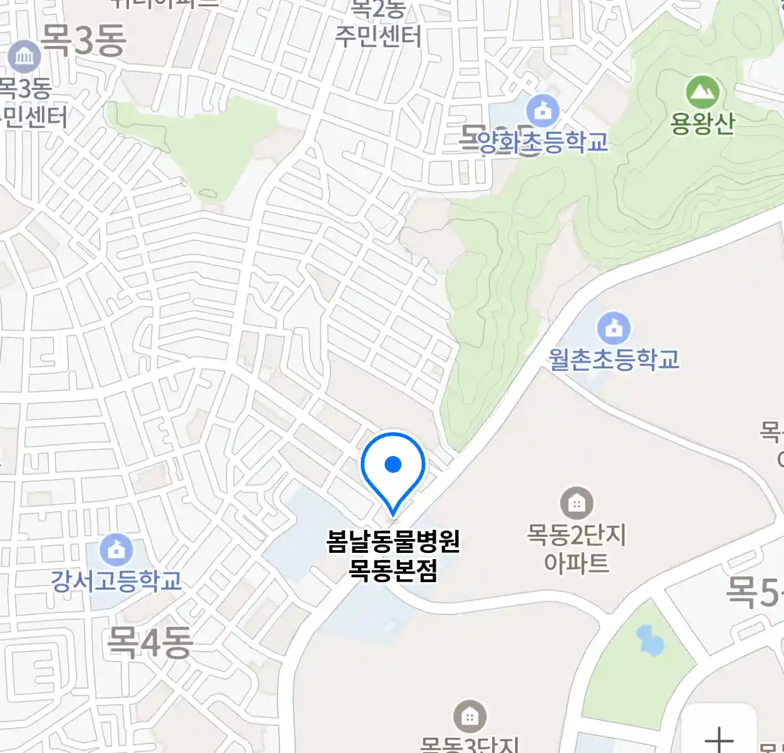 봄날동물병원 목동본점 위치