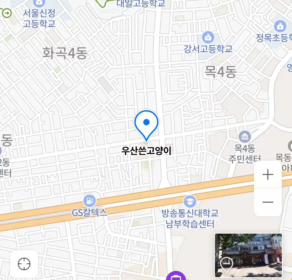 우산쓴고양이 위치