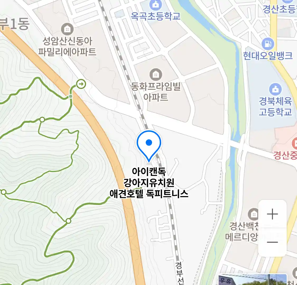 아이캔독 강아지유치원 애견호텔 독피트니스 위치