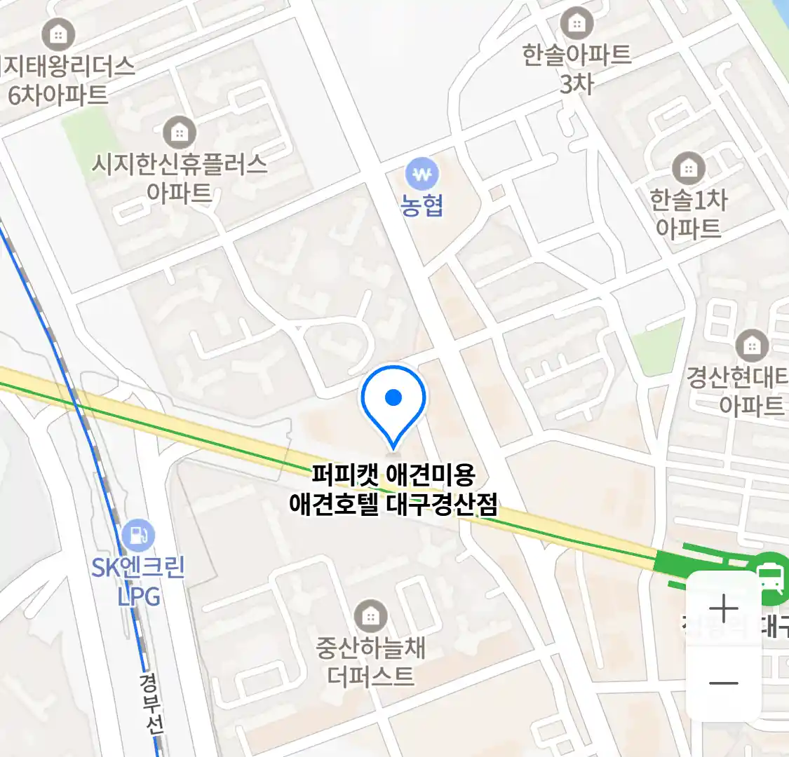 퍼피캣 애견미용 애견호텔 대구경산점 위치