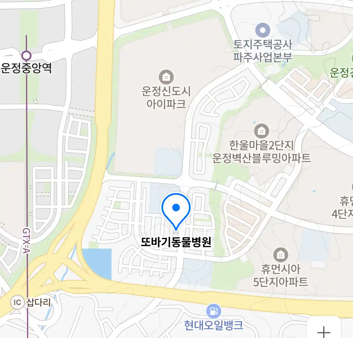 또바기동물병원 위치