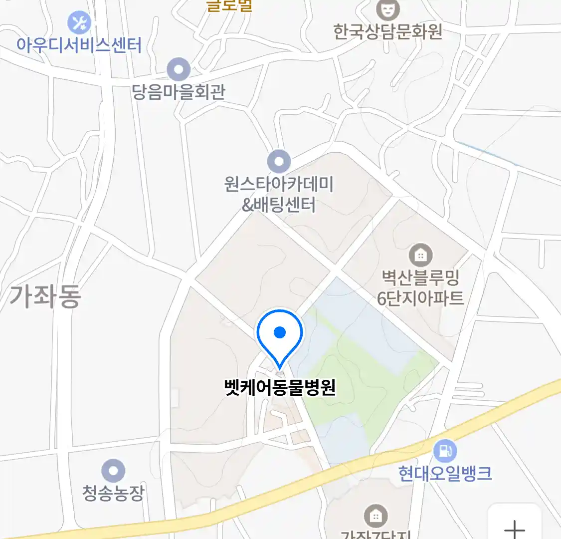 벳케어동물병원 위치
