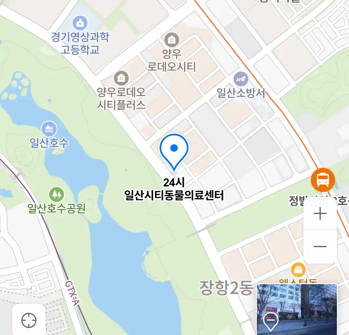 24시 일산시티동물의료센터 위치