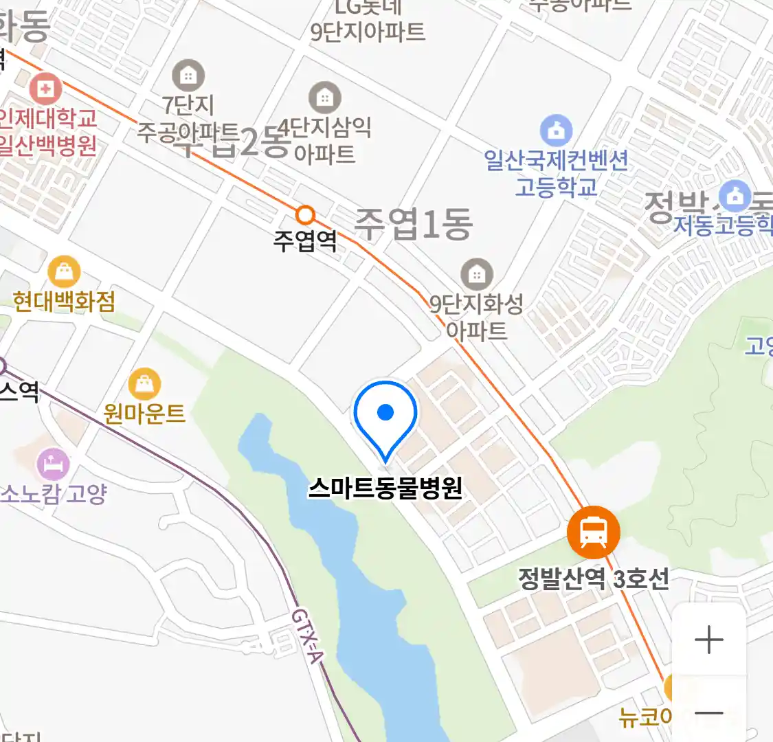 스마트동물병원 위치