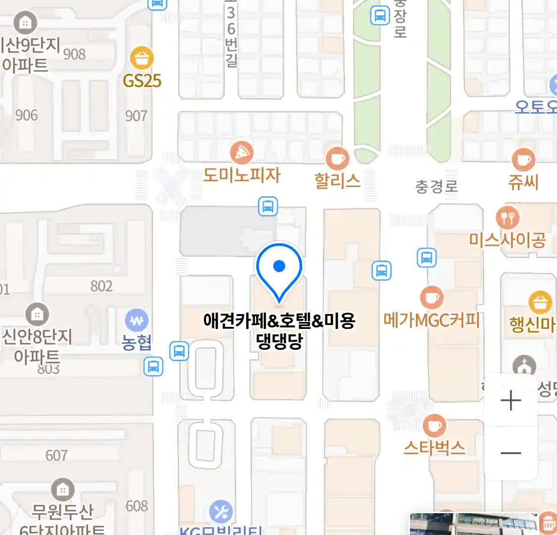 애견카페&호텔&미용 댕댕당 지도