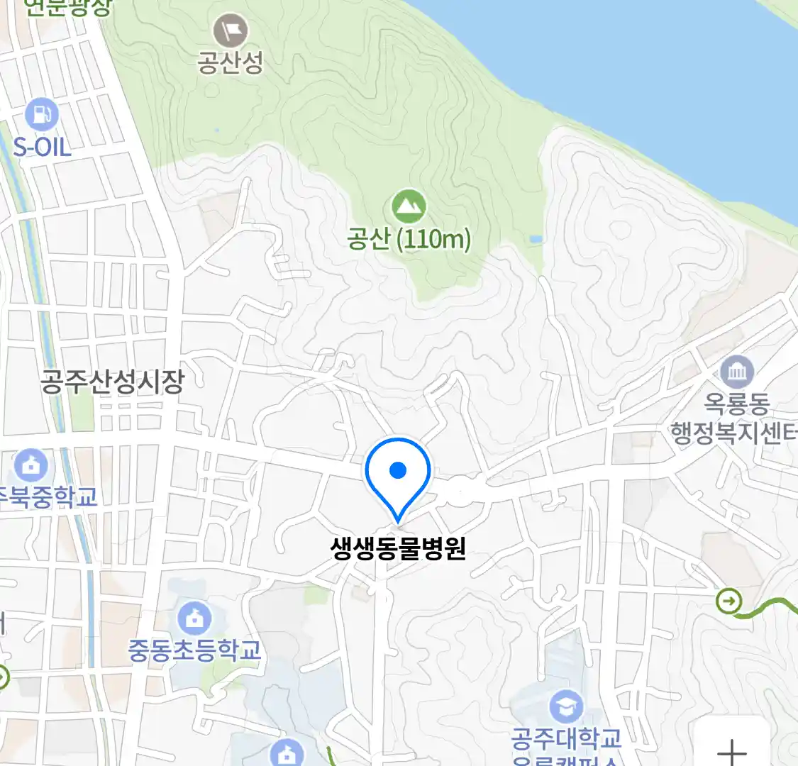 생생동물병원 위치