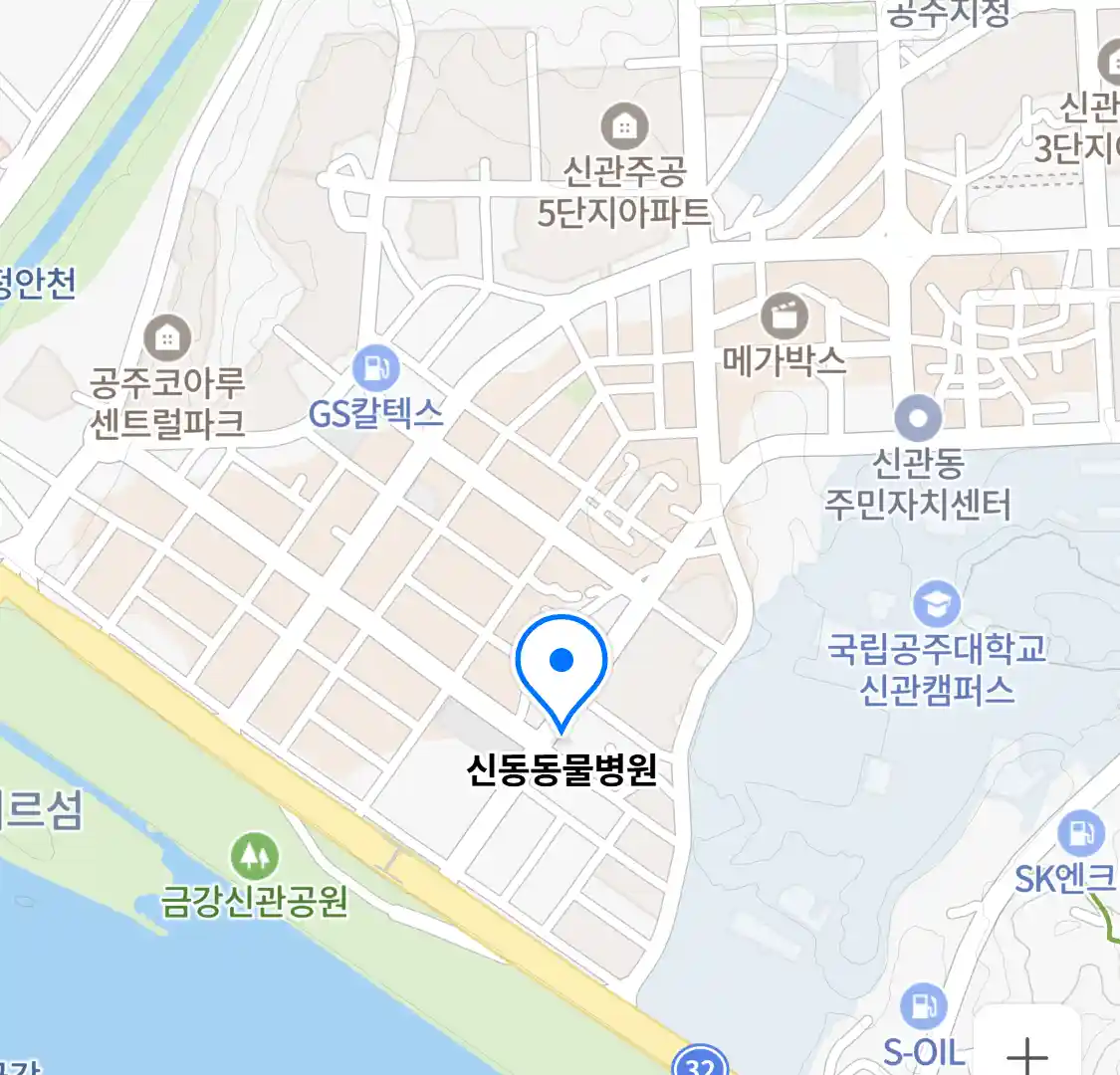 신동동물병원 위치