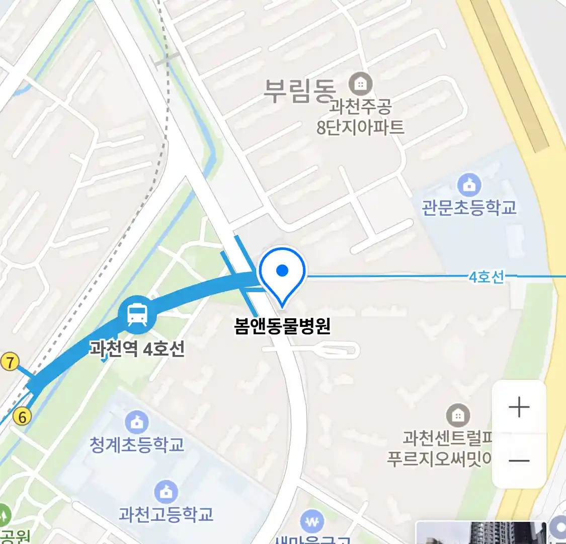 봄앤동물병원 위치