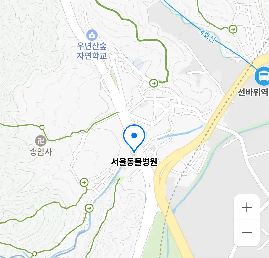 서울동물병원 위치