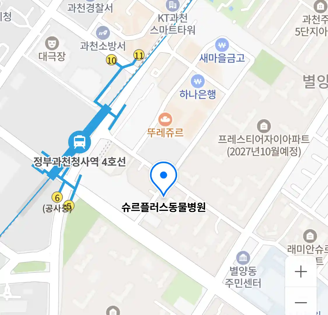 슈르플러스동물병원 위치