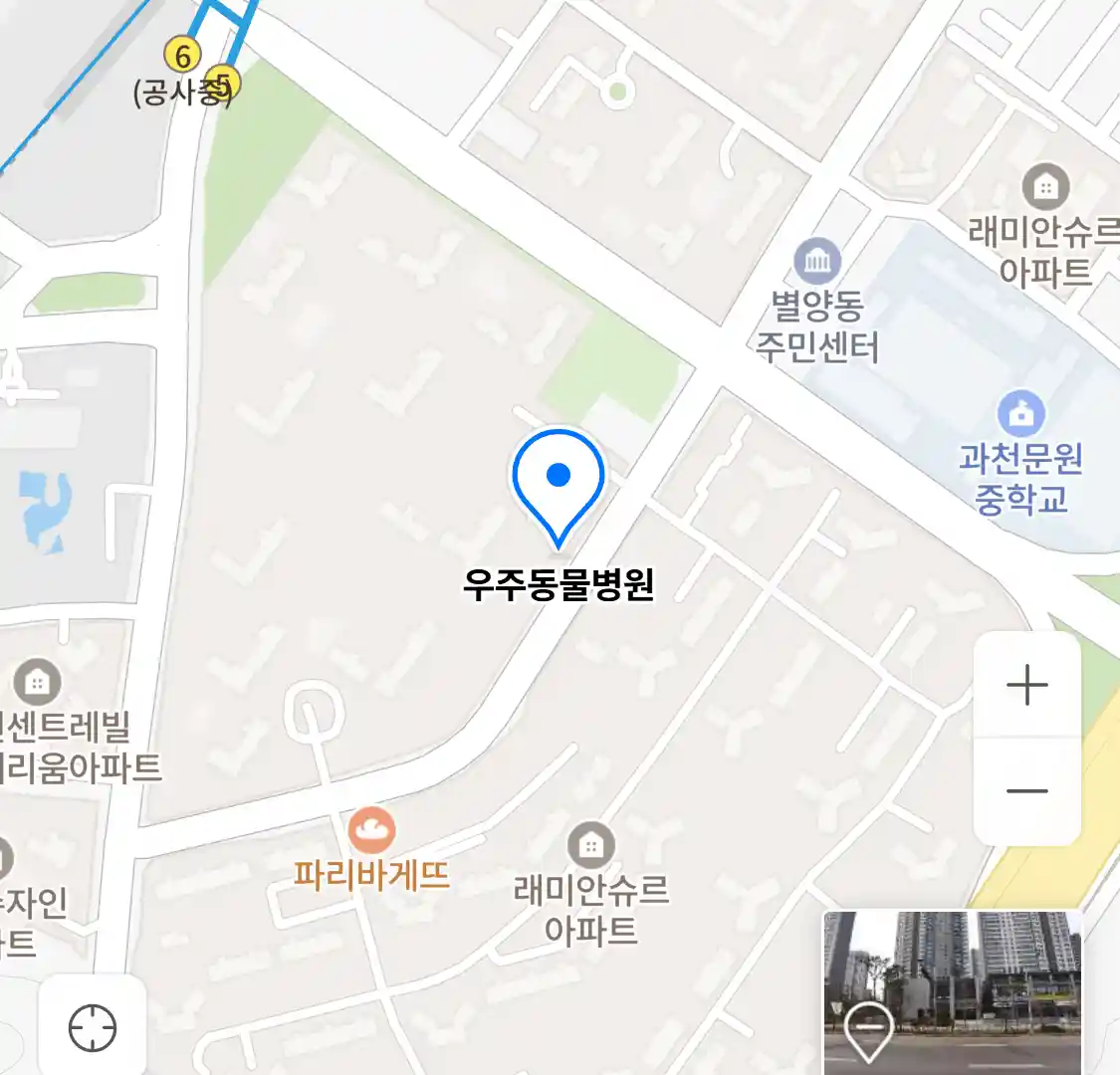 우주동물병원 위치