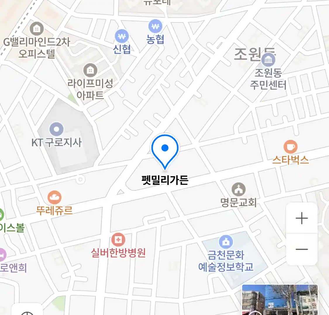 펫밀리가든 위치