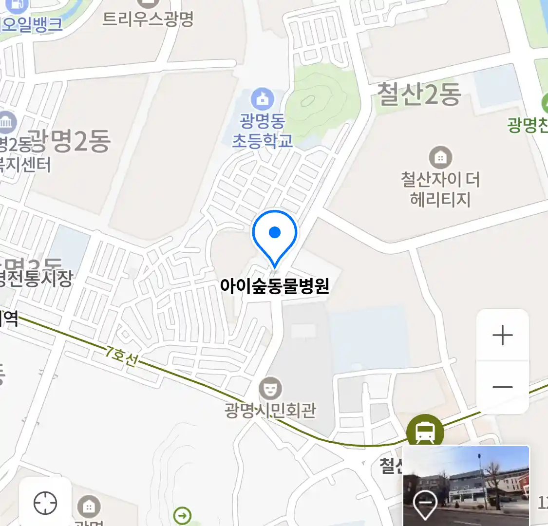 아이숲동물병원 위치