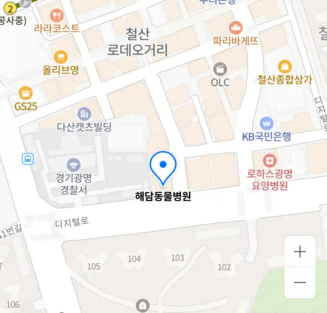 해담동물병원 위치