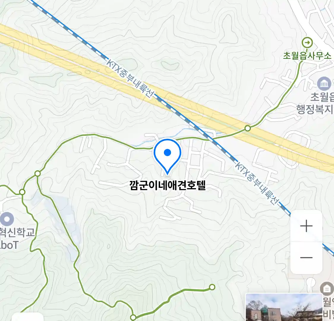 깜군이네애견호텔 위치