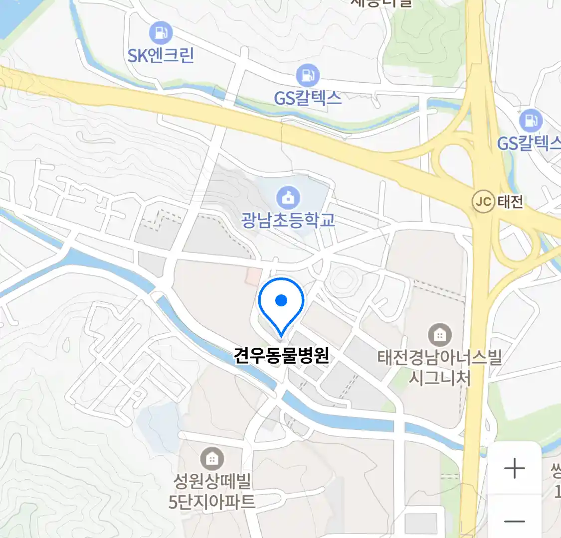 견우동물병원 위치