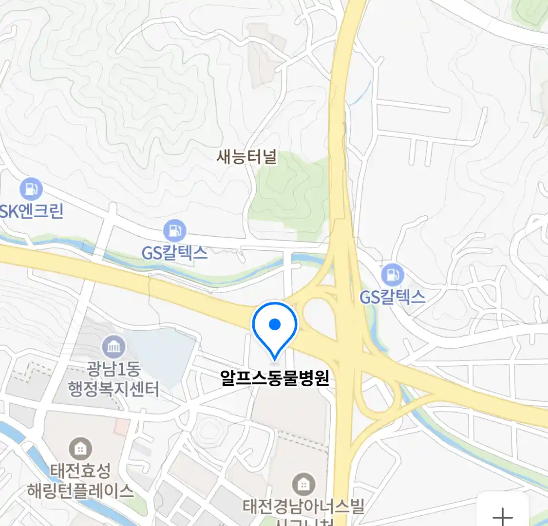 알프스동물병원 위치
