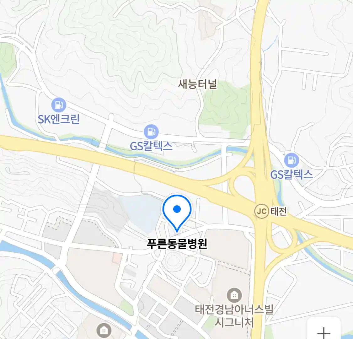 푸른동물병원 위치