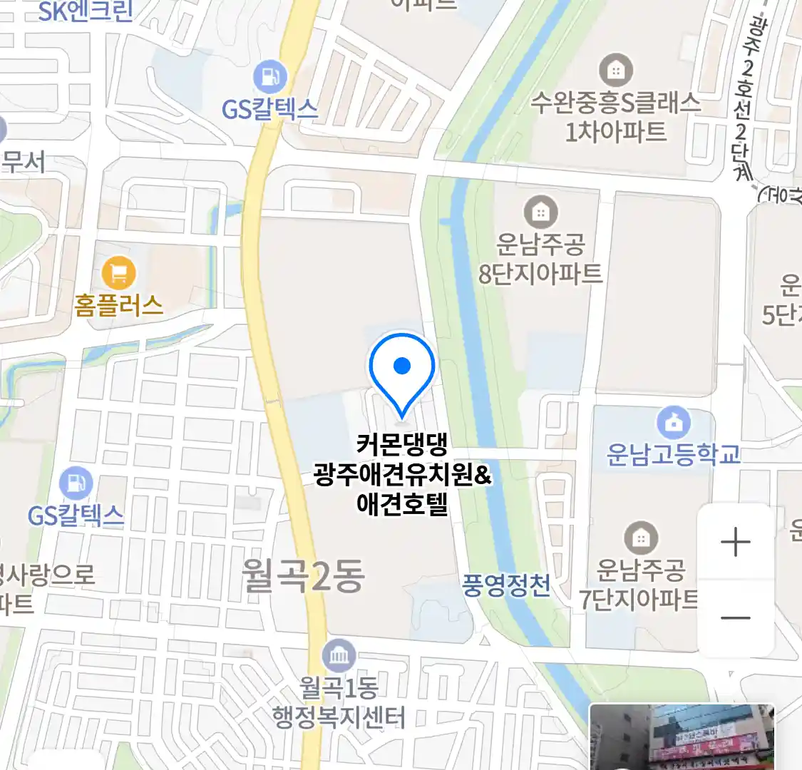 커몬댕댕 광주애견유치원&애견호텔 위치