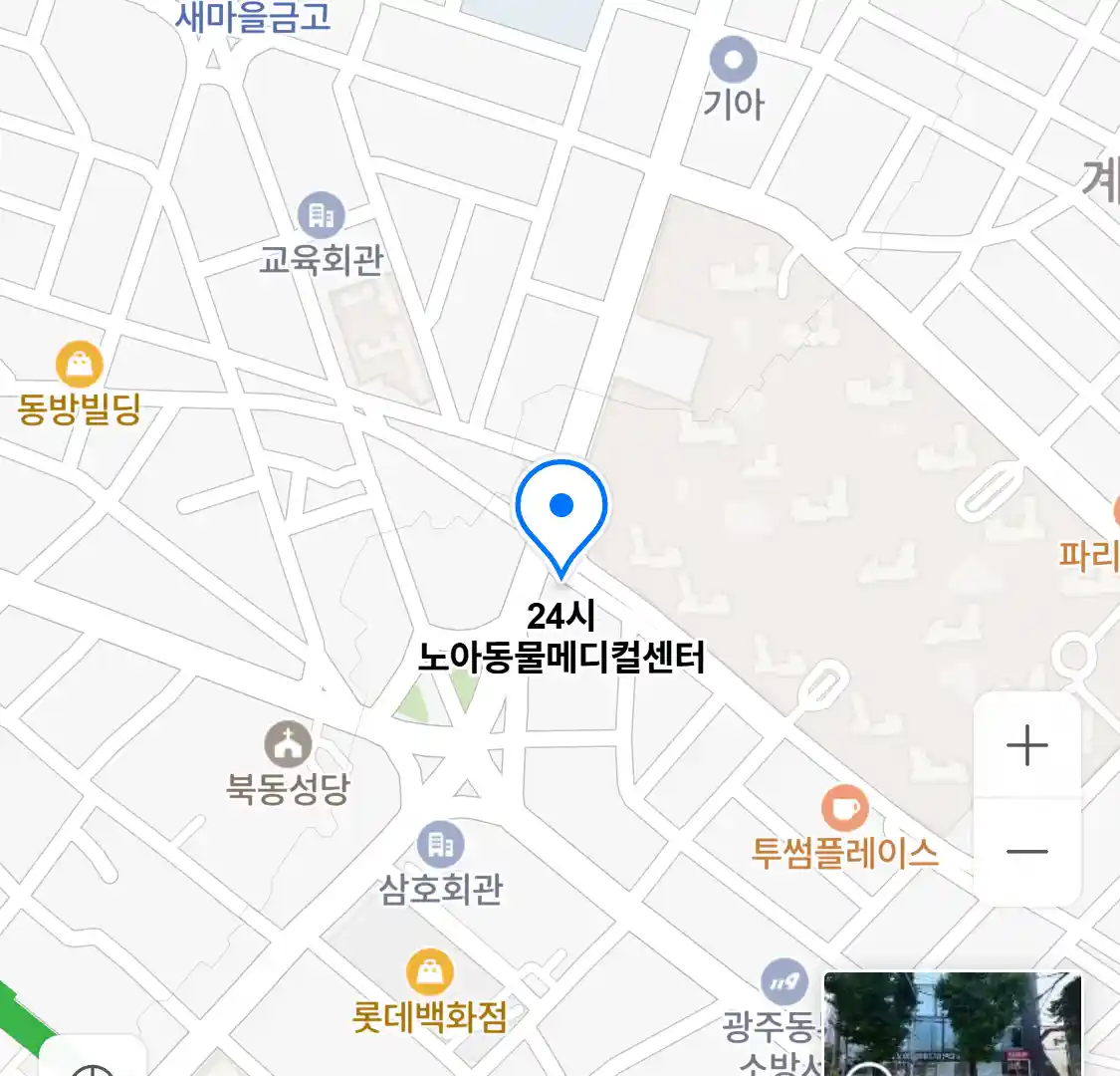 24시 노아동물메디컬센터 위치