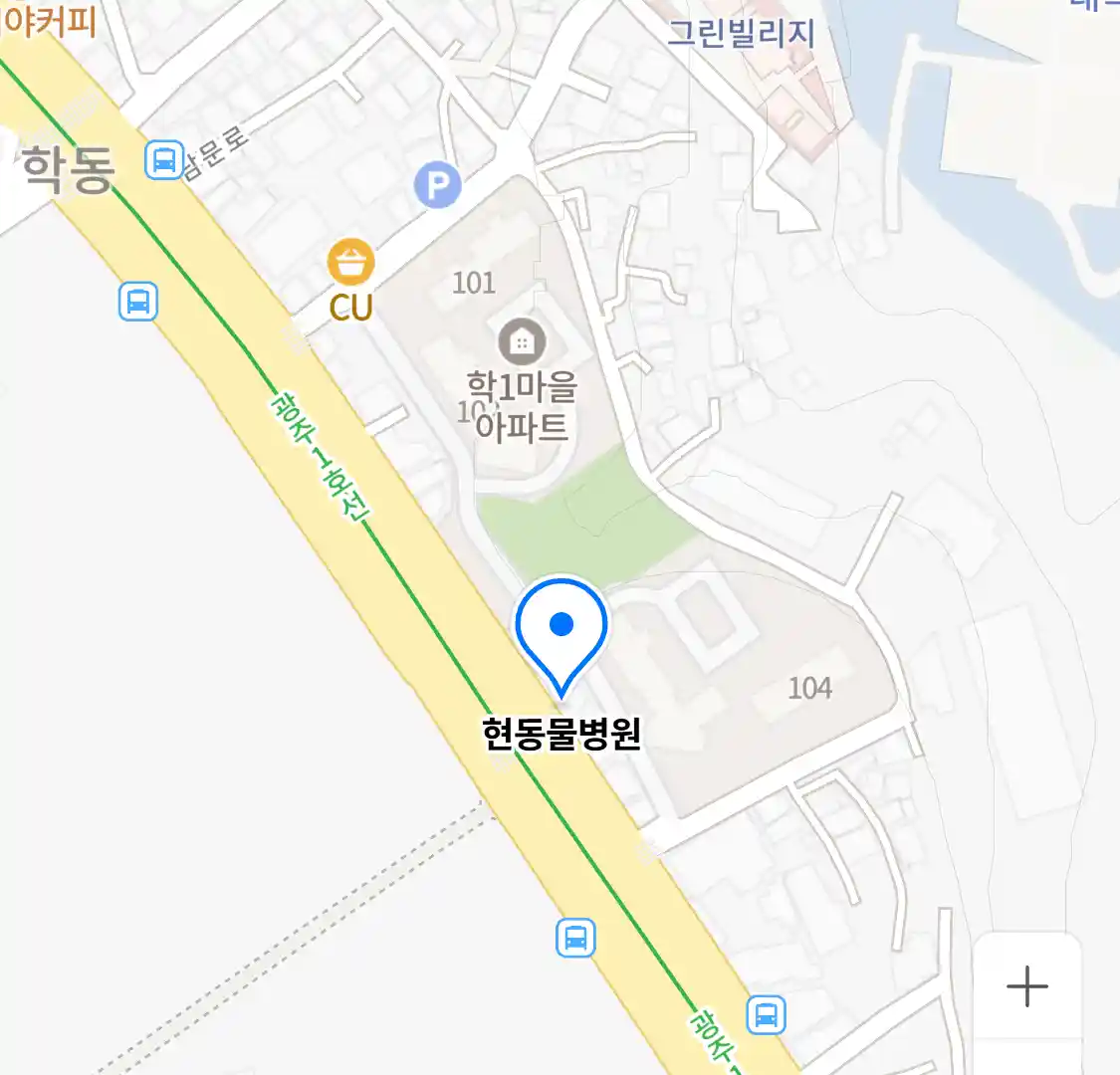 현동물병원 위치