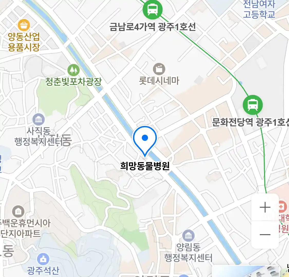 희망동물병원 위치
