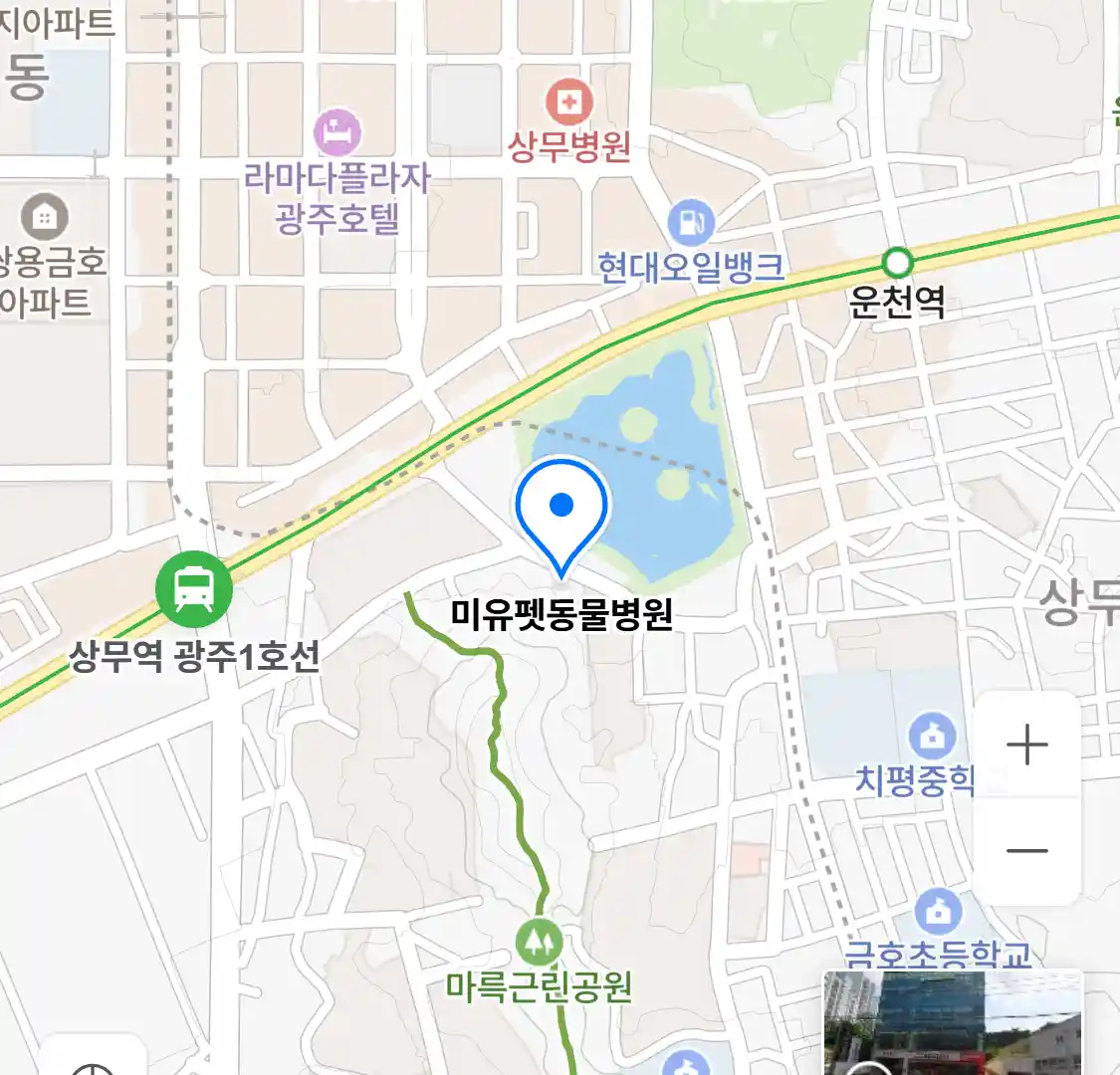 미유펫동물병원 위치