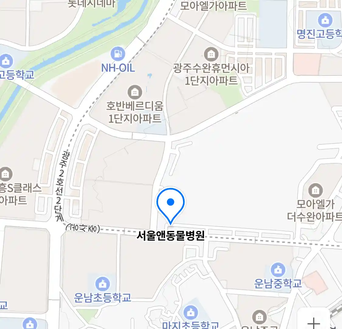 서울앤동물병원 위치