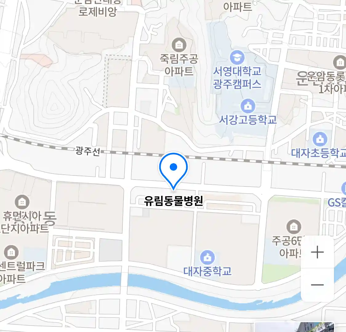 유림동물병원 위치