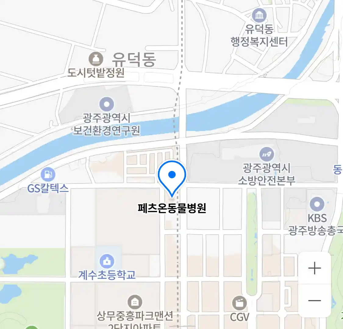 페츠온동물병원 위치