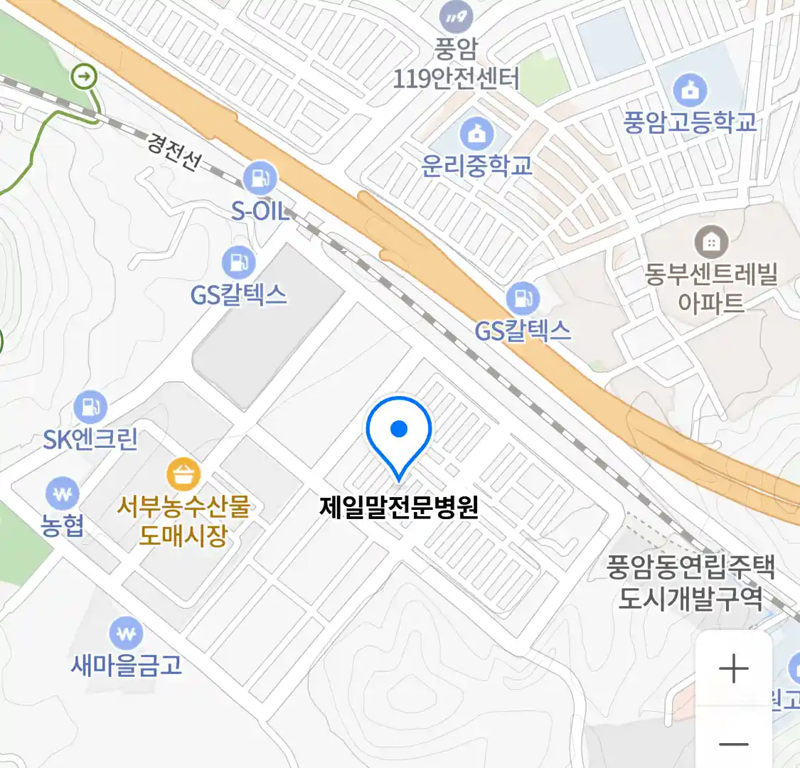 제일말전문병원 위치