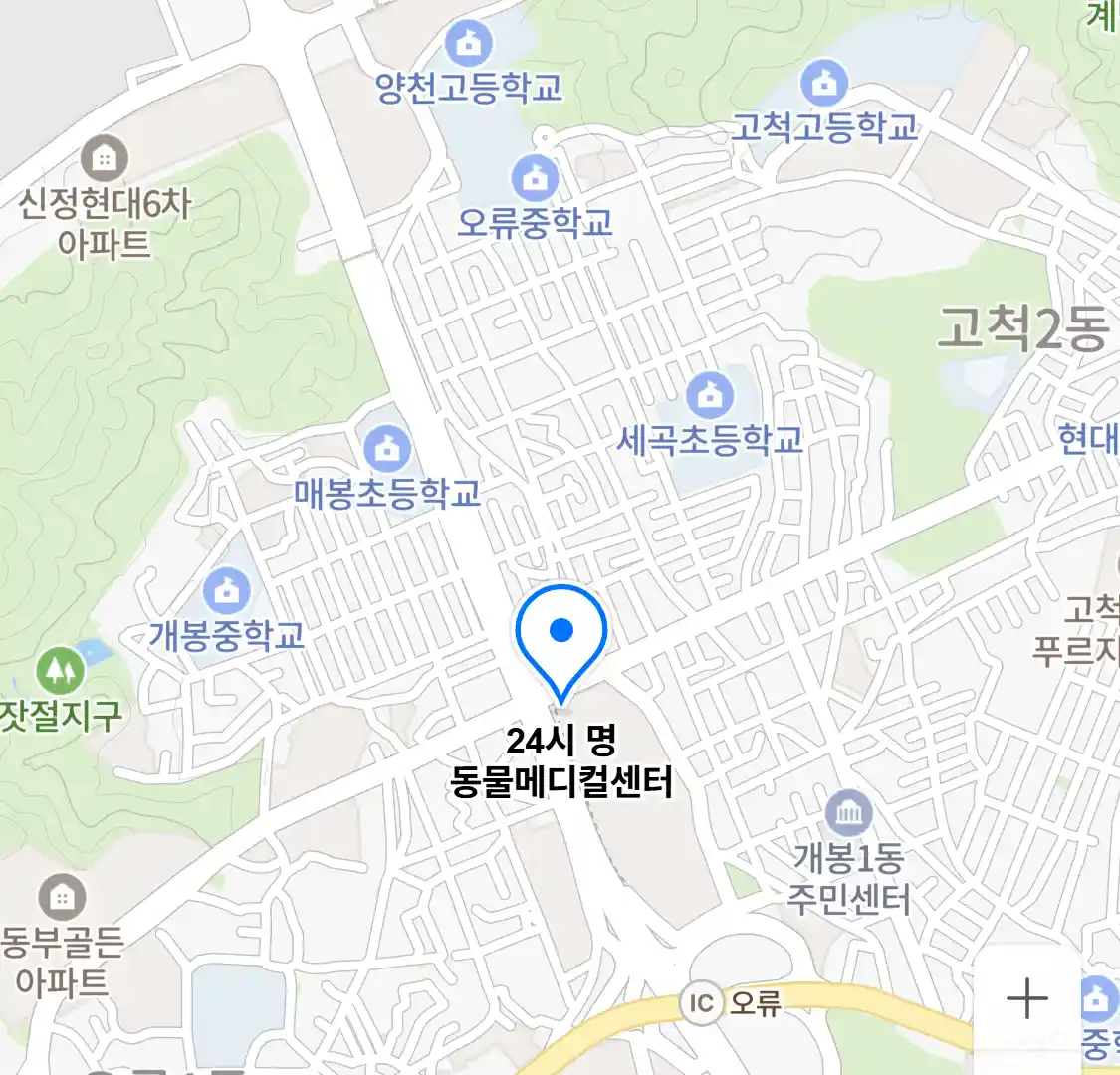 24시 명 동물메디컬센터 위치