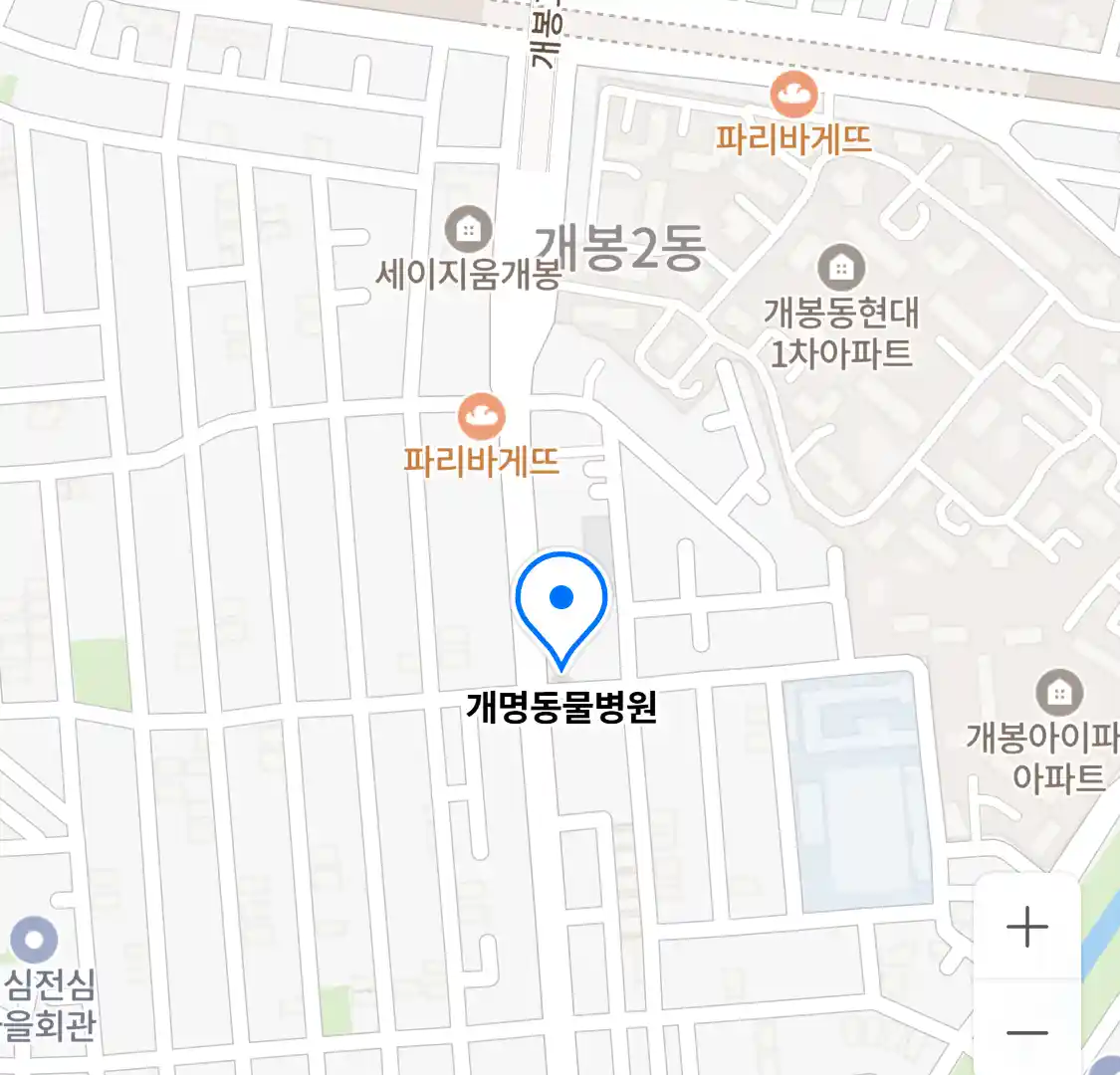 개명동물병원 위치