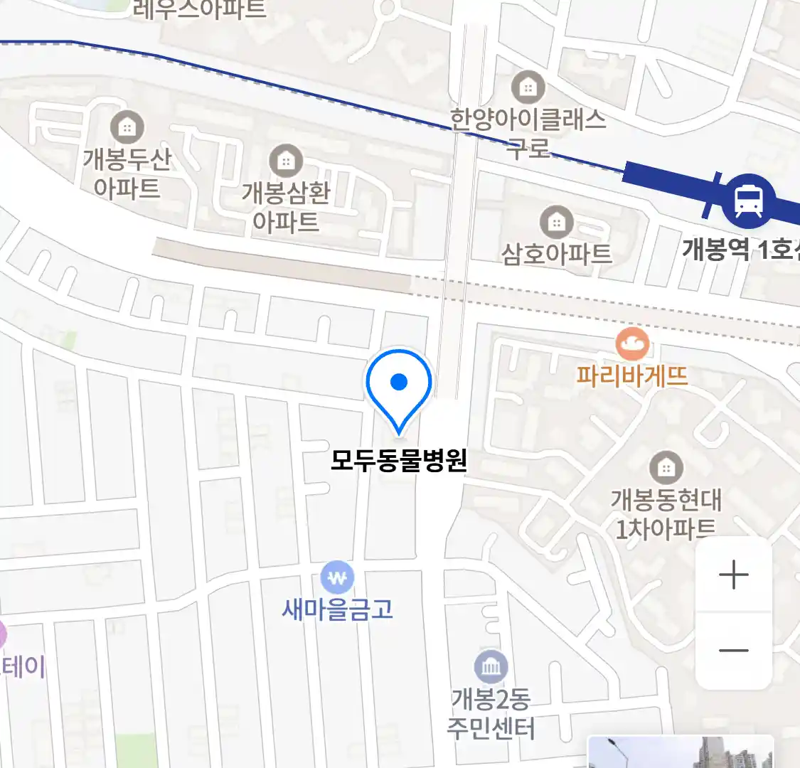 모두동물병원 위치