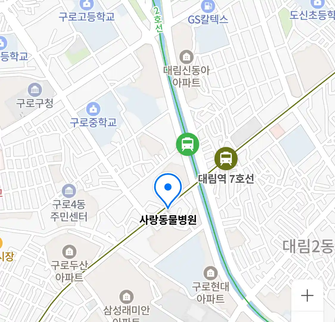 사랑동물병원 위치