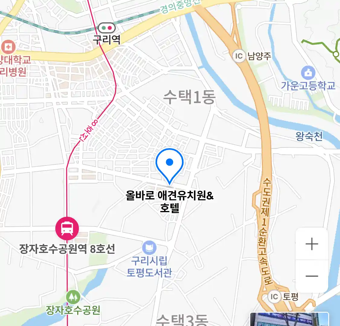 올바로 애견유치원&호텔 위치