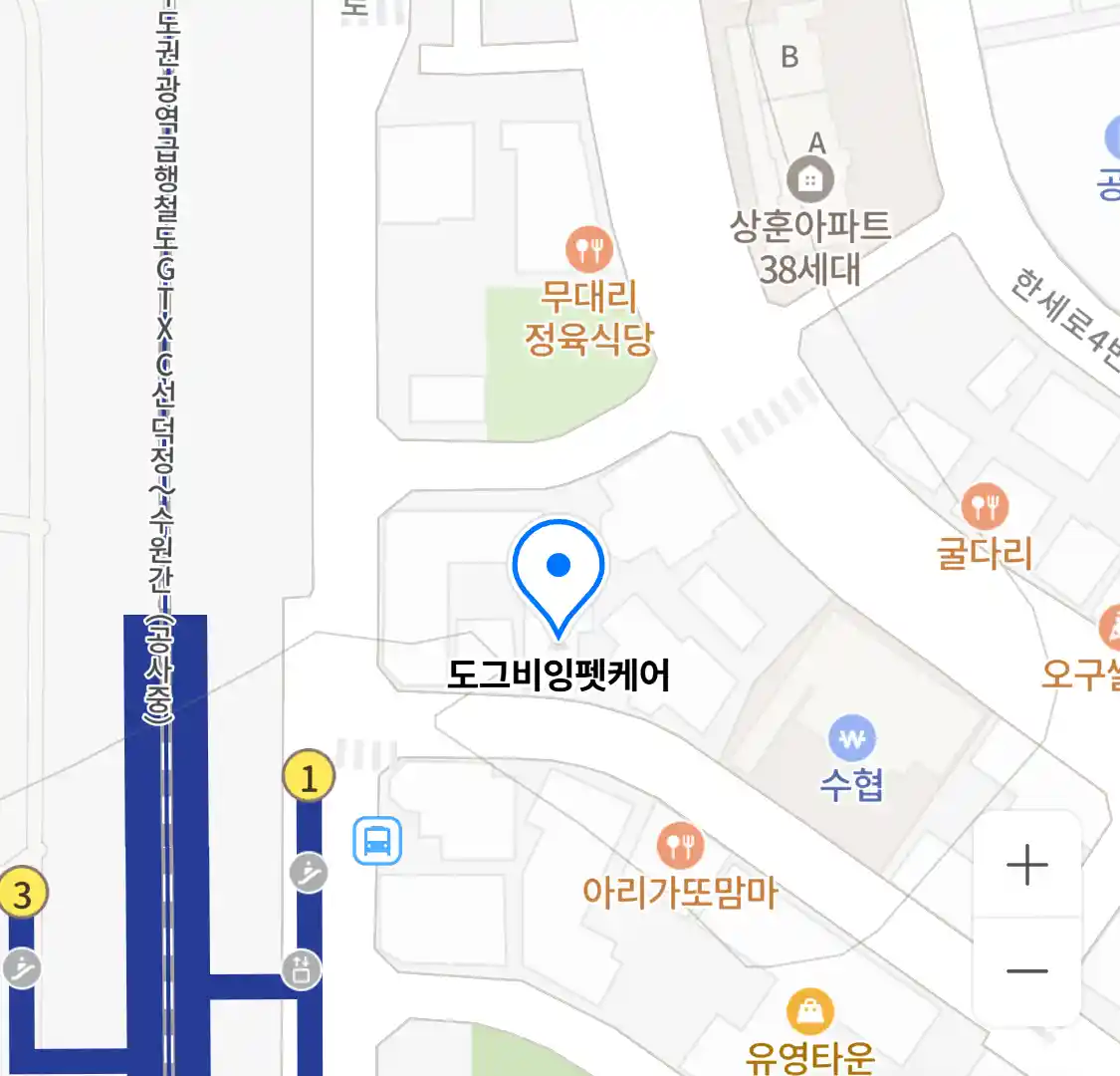도그비잉펫케어 위치