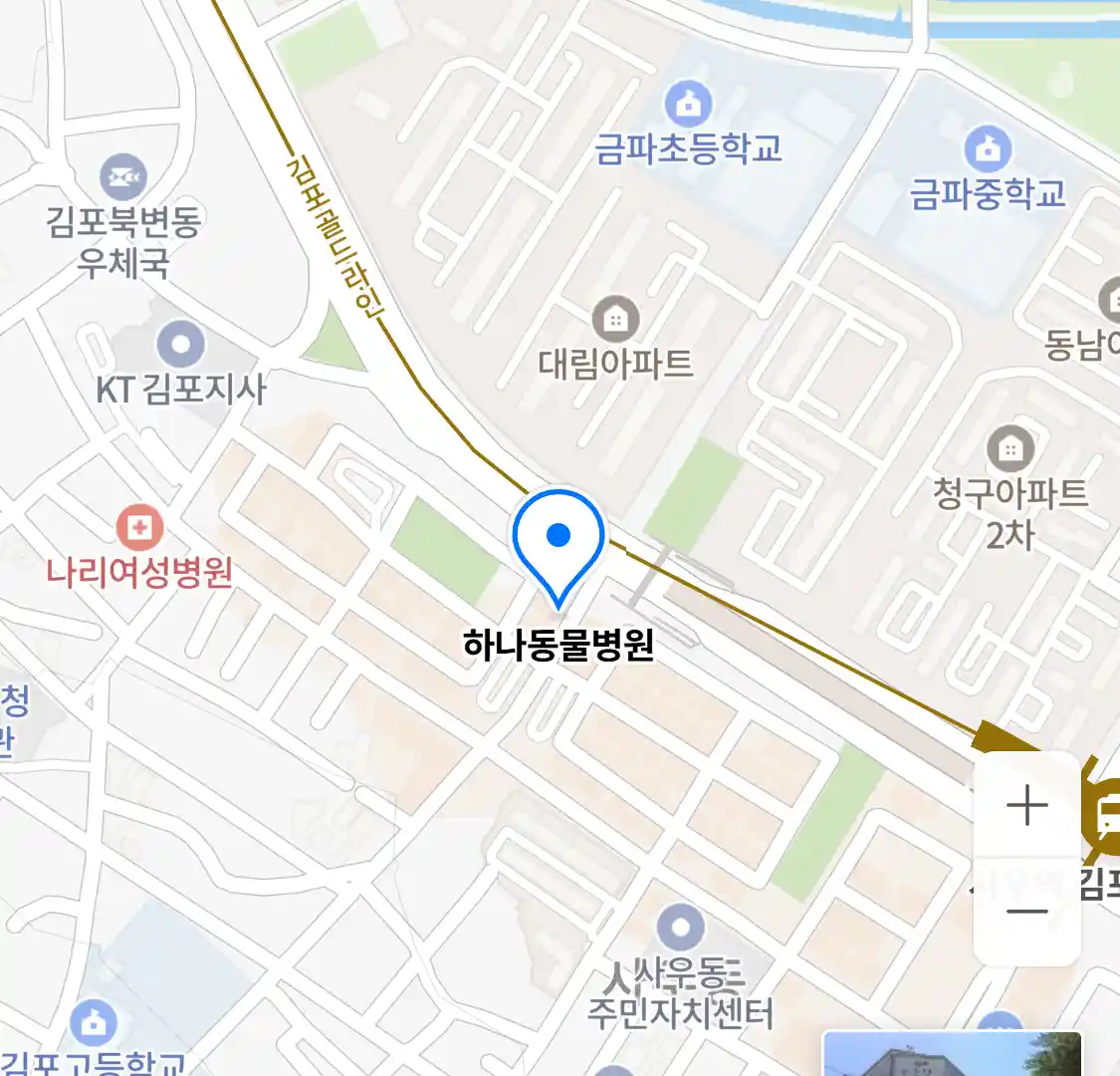 하나동물병원 위치