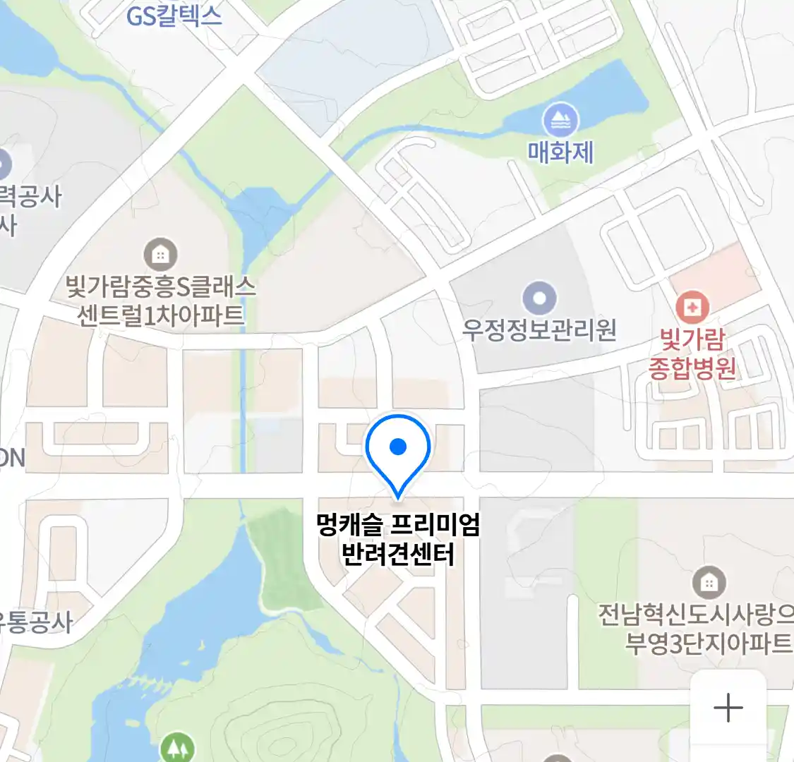멍캐슬 프리미엄 반려견센터 위치